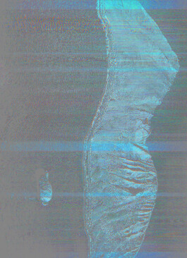 Sahra Jajarmikhayat